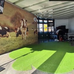 Setbau | Arla Bio – Set mit großem Kuh-Plakat, Kameras, Scheinwerfern und Rasen-Teppich
